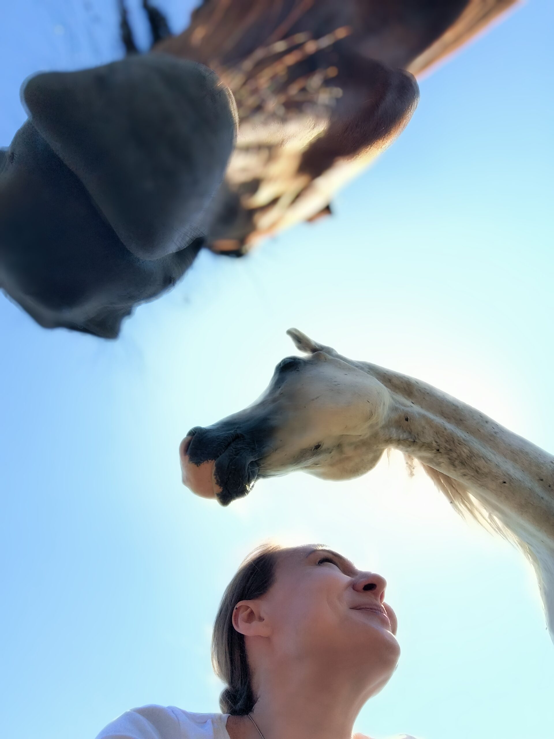 IMG_20250803_120040_1